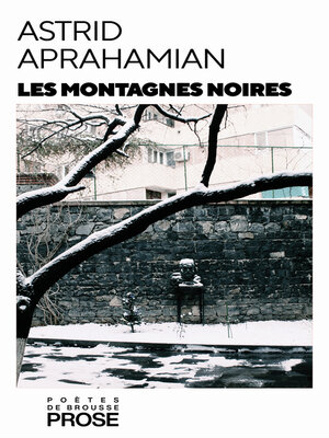 cover image of Les montagnes noires